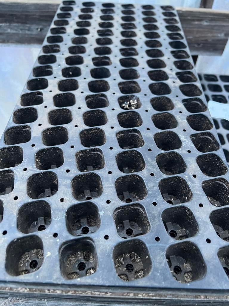 stekplaat plantplaat zaaiplaat 126 plantgaten, Tuin en Terras, Bloempotten, Zo goed als nieuw, Kunststof, Binnen, Balkon, Tuin