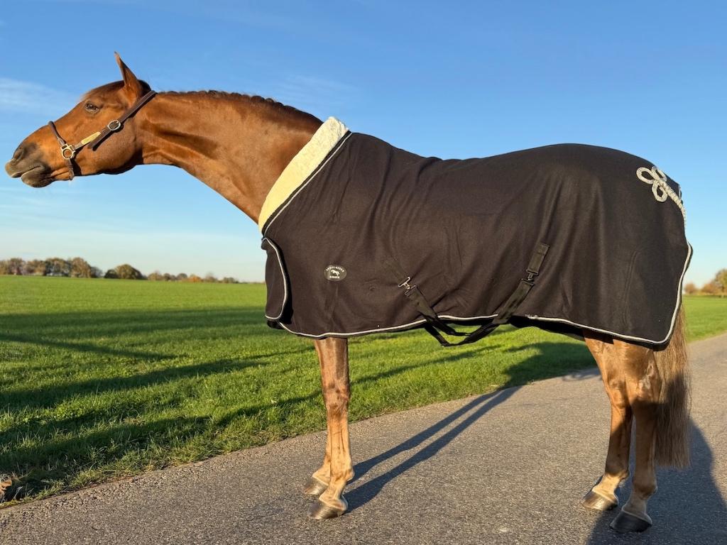 Profi-Rider luxe fleecedeken bontkraag zwart 185 tm 205 SALE, Dieren en Toebehoren, Paarden en Pony's | Dekens en Dekjes, Ophalen of Verzenden
