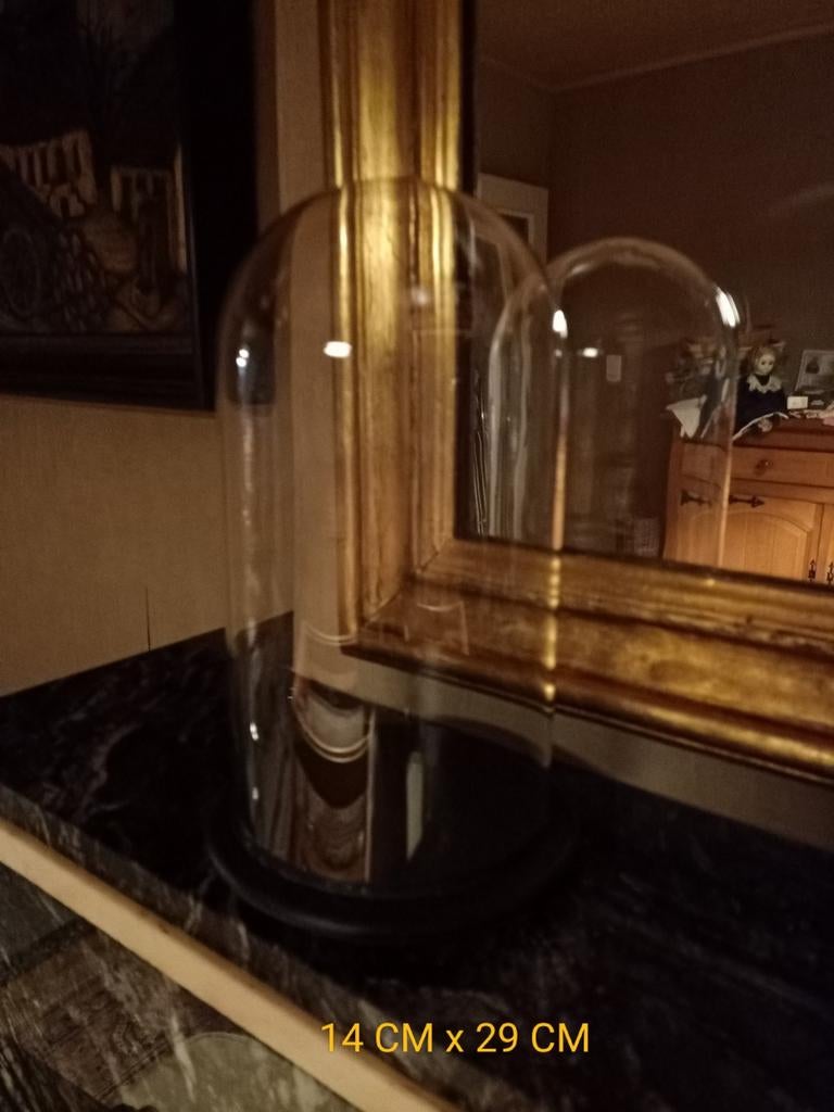 Kleine globe, Ophalen