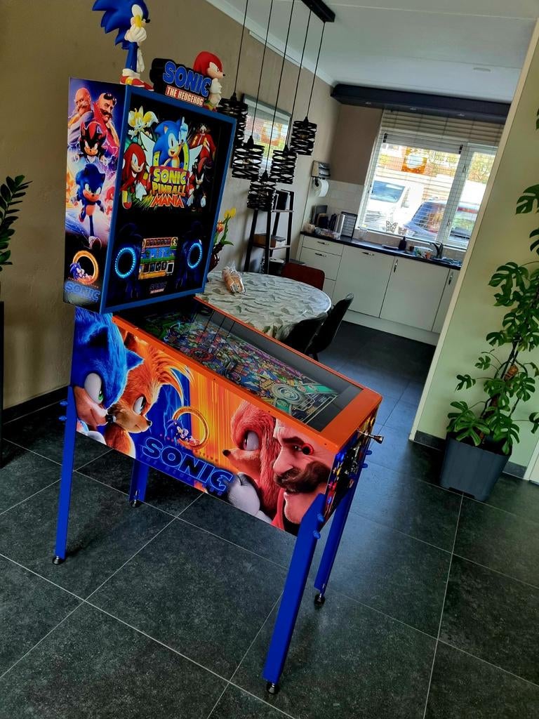 Flipper virtuel Sonic avec 1200 jeux, Collections, Machines | Flipper (jeu), Enlèvement