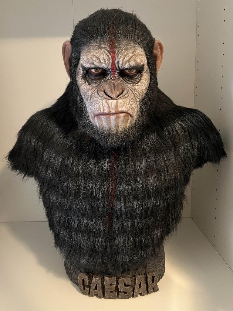 Bluebox Hyper Caesar life size buste war paint version, Collections, Enlèvement, Comme neuf, Film, Statue, Réplique ou Modèle