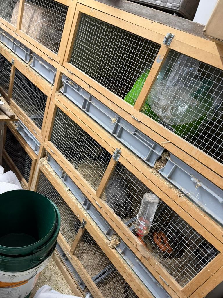 Rabbit flat - clapier à lapins, Enlèvement