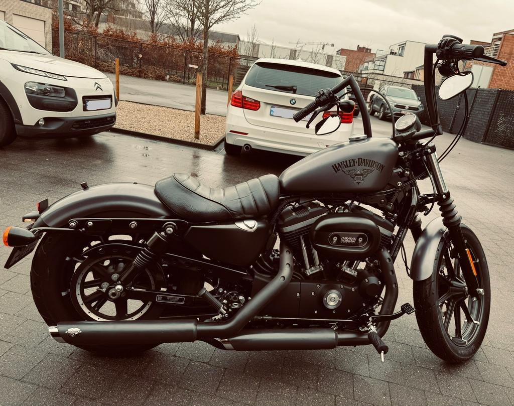Harley Davidson Iron 883 -> 1200 stage 1, ABS, Permis Moto A, Plus de 35 kW, Chopper