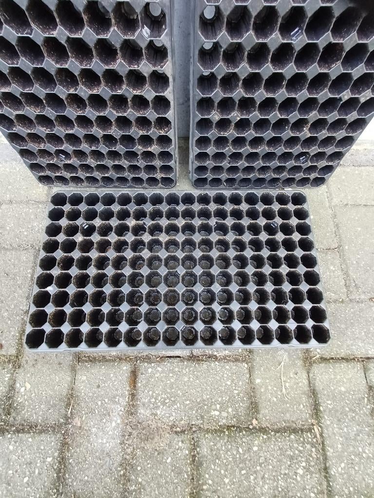 Zaaitrays zaaibak, Tuin en Terras, Kweekspullen, Ophalen