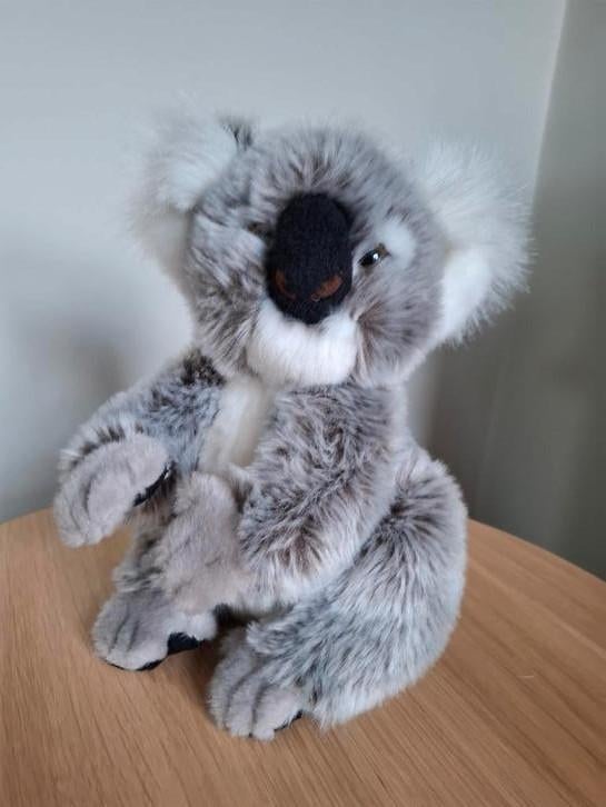 Koala knuffel uit Zoo Antwerpen Zoo Planckendael, Ophalen, Zo goed als nieuw, Overige typen