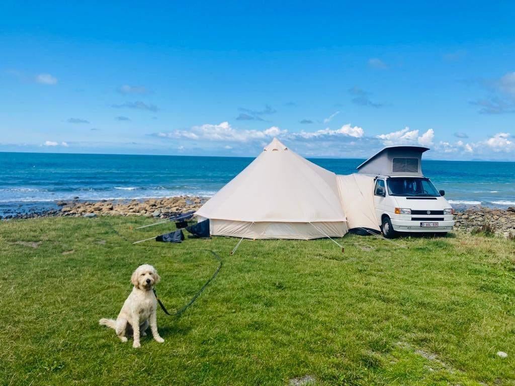 VW T4 California – Oldtimer entretenu – CT 2026, Caravans en Kamperen, Mobilhomes, Particulier, tot en met 4, Volkswagen, Diesel