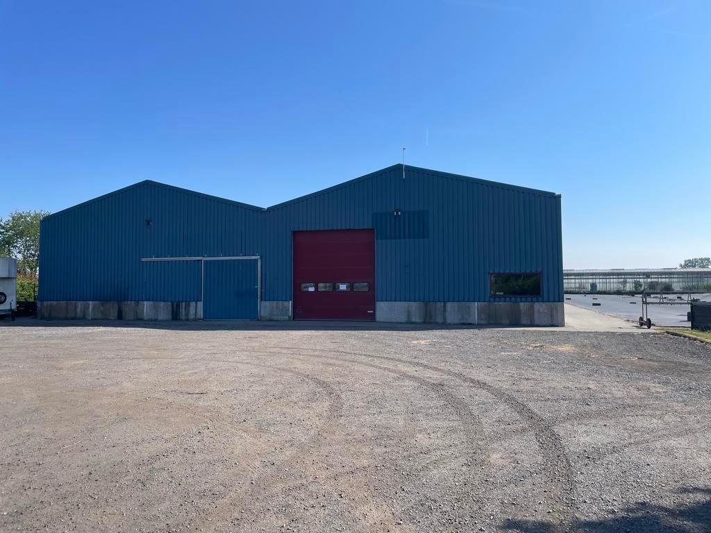 Tuinbouwbedrijf te huur, Zakelijke goederen, 10000 m², Huur, Bedrijfsruimte