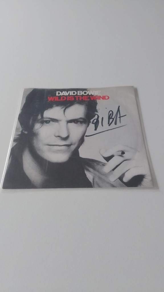 David Bowie - Le vent est sauvage, CD & DVD, Vinyles | Rock, Utilisé, Enlèvement ou Envoi