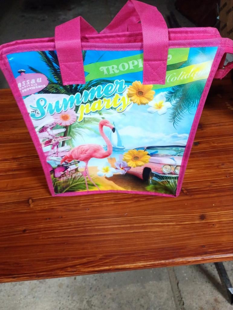 Koeltas, Caravans en Kamperen, Koelboxen, Ophalen, Zo goed als nieuw, Koeltas