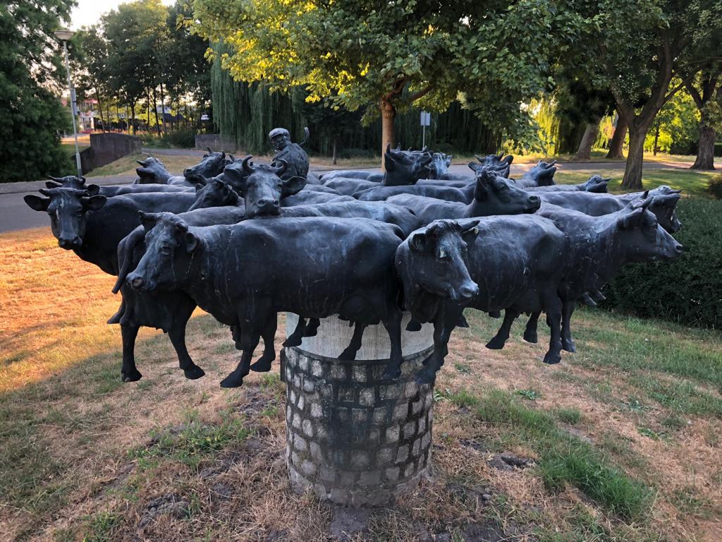 Effectieve bijles wiskunde, chemie en fysica, Cours particulier, Aide aux devoirs