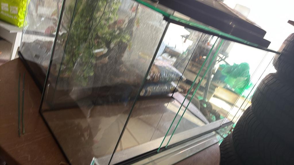 Terrarium, Enlèvement, Comme neuf