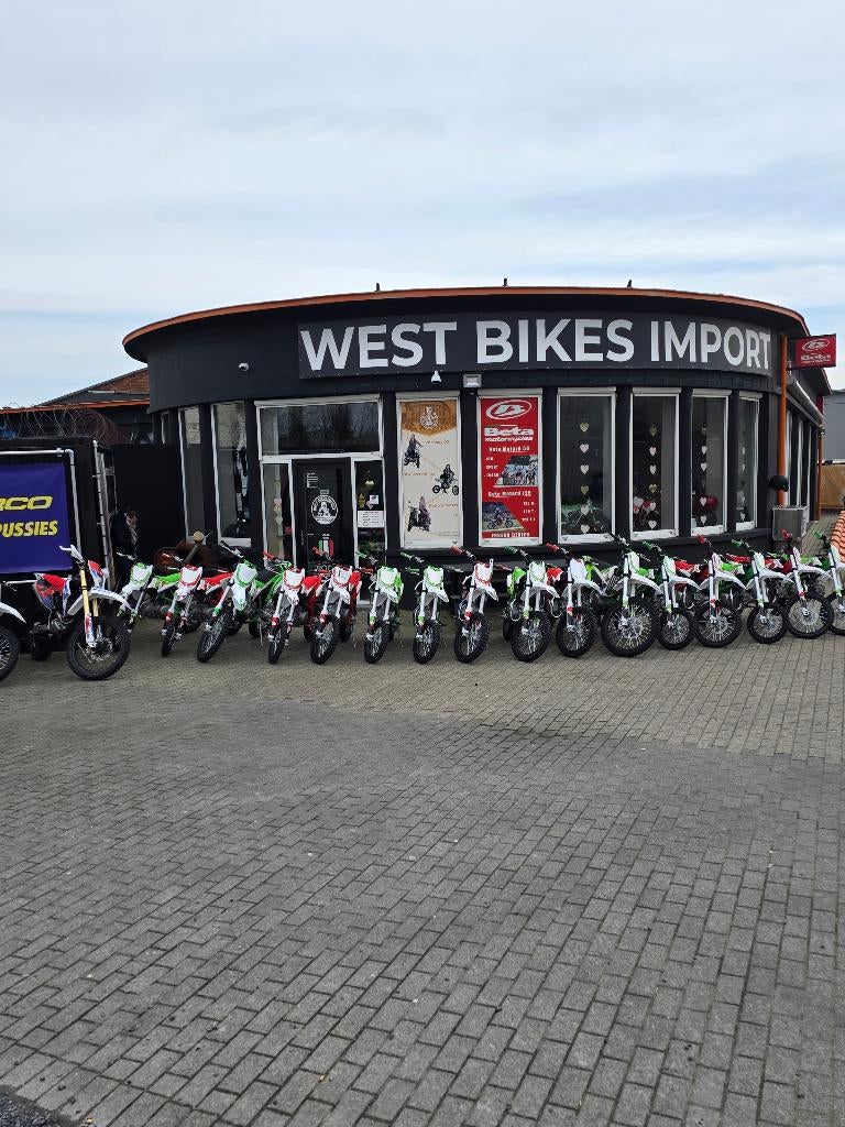 Apollo Thunder Pitbike | 250 cc | Beste Prijs, Nieuw, Ophalen of Verzenden, Pitbike, 250 cc