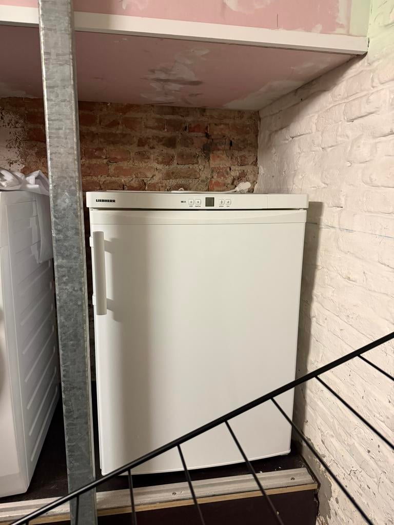 nieuwe no frost diepvries Liebherr GNP1066-21, Nieuw, Ophalen, Vrieskast, 85 tot 120 cm