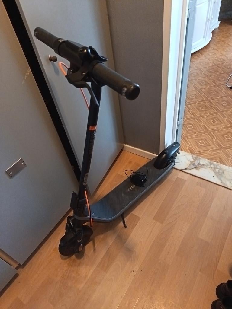 Segway e2 elektrische step, Enlèvement