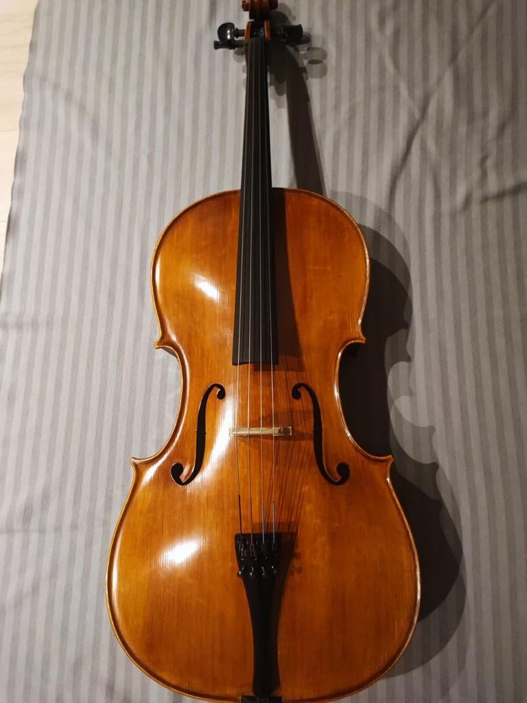 Violoncelle 4/4 allemand, Enlèvement