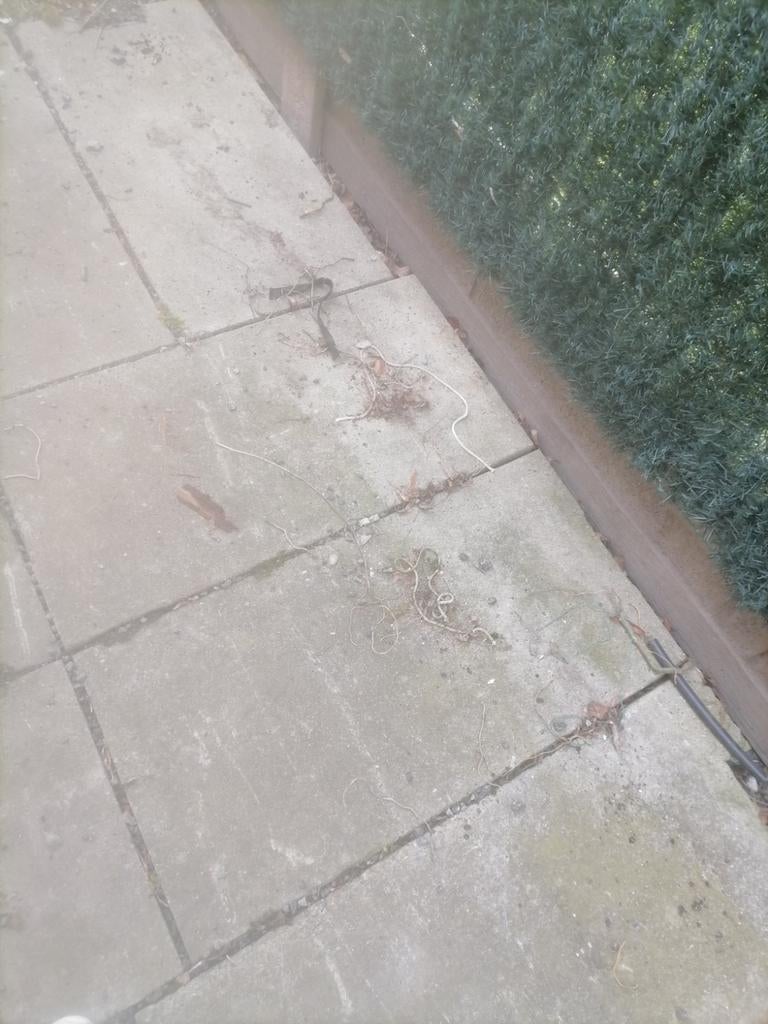 Gratis 10 m2, Tuin en Terras, Tegels en Klinkers, Ophalen of Verzenden, Gebruikt