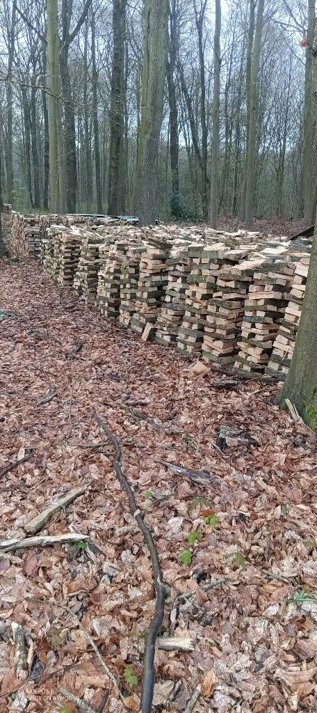 Bois de chauffage, Enlèvement ou Envoi