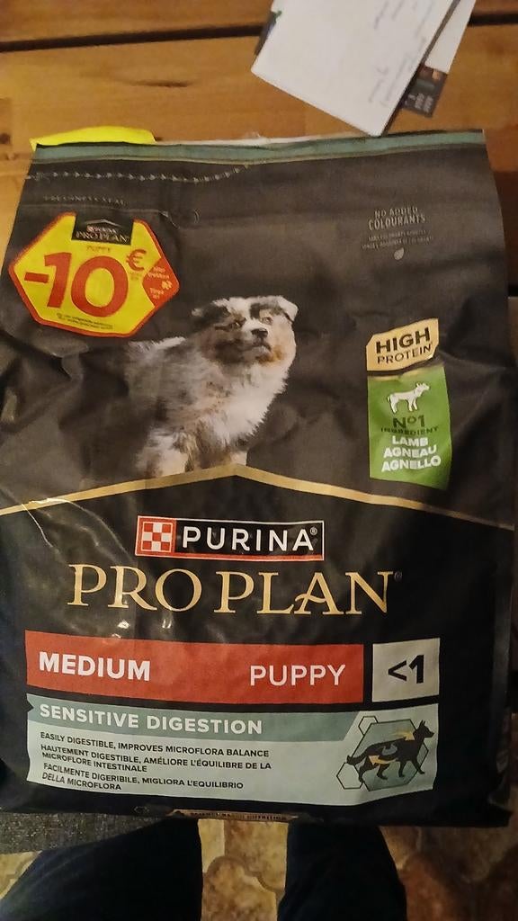 Honde eten puppy, Dieren en Toebehoren, Dierenvoeding, Ophalen