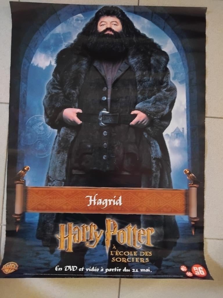 Magische Harry Potter Posters (Slechts €1 p/st), Verzamelen, Harry Potter, Ophalen, Zo goed als nieuw