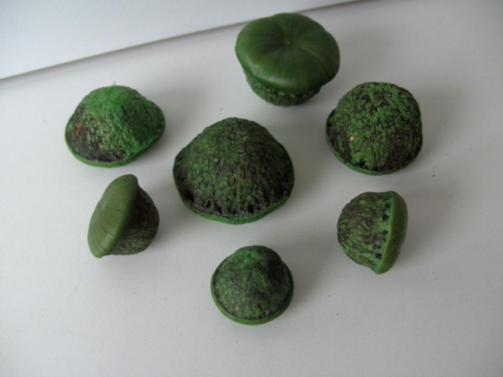 PADDESTOELEN DECORATIEF 16 KG (1200 stuks) Nieuw, Enlèvement ou Envoi, Neuf