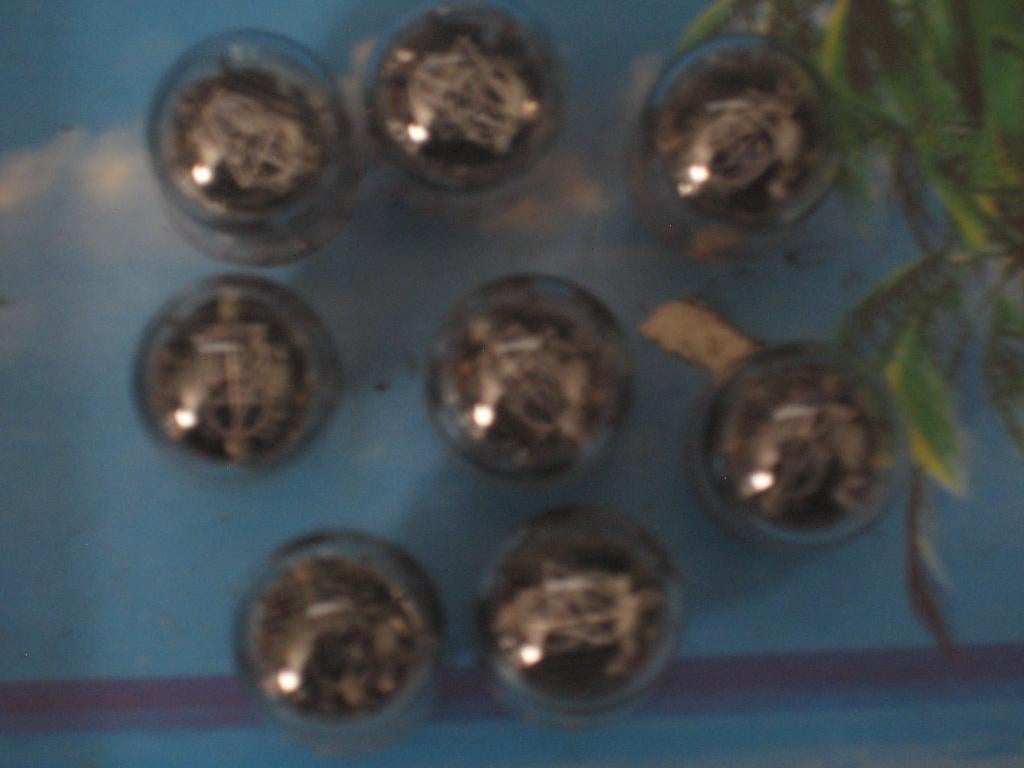 Nixie Buizen NL-7009 - 14 mm, Ophalen of Verzenden