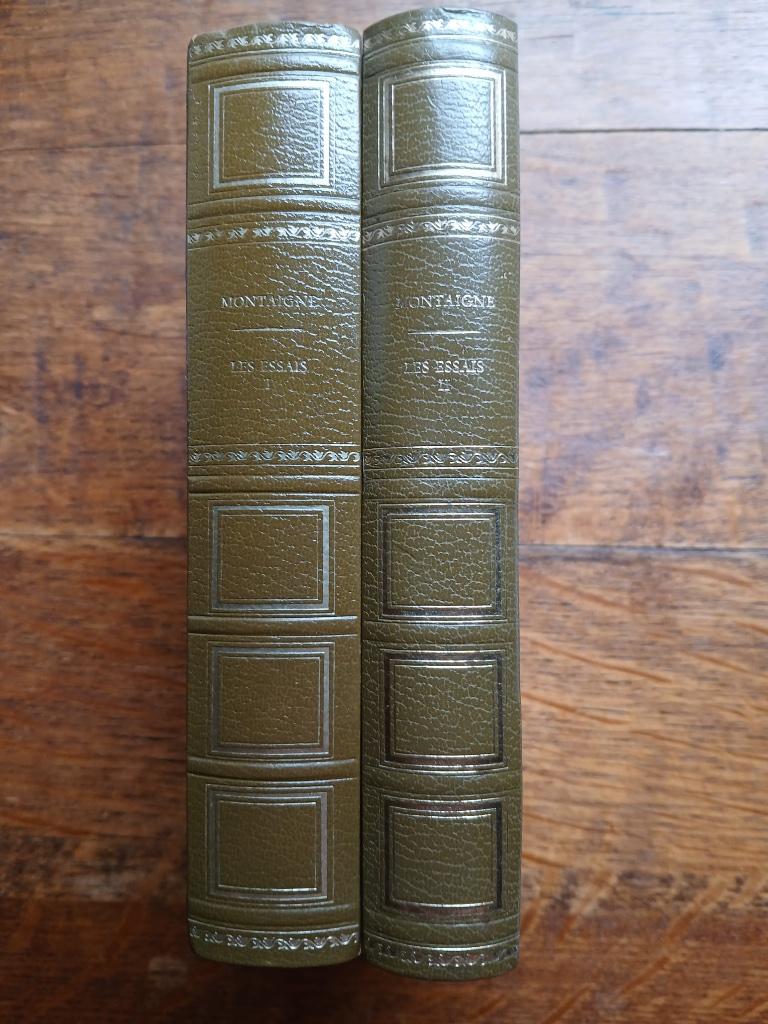 Montaigne - Essais, Ophalen of Verzenden, Zo goed als nieuw, Montaigne