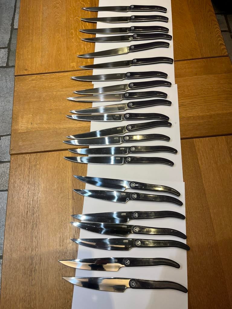 LAGUIOLE evlution ACIER INOX couteaux, Enlèvement ou Envoi, Comme neuf