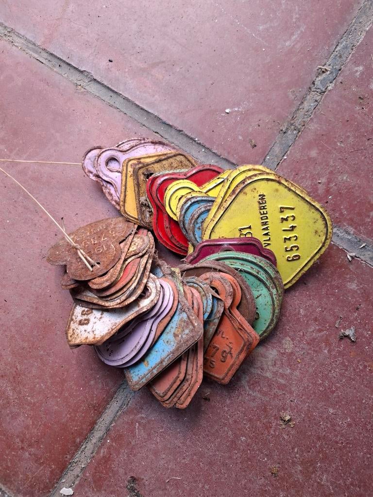 Oude fietsplaten., Ophalen