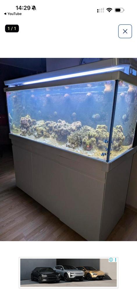 Red sea Aguarıum Perfeck!!!!, Ophalen of Verzenden, Zo goed als nieuw