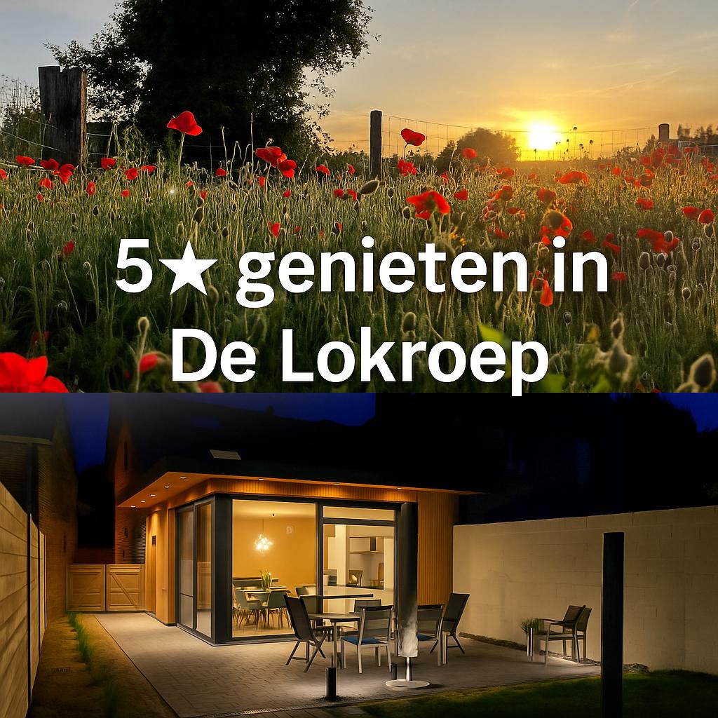 Vakantiewoning in hartje Haspengouw met grote tuin, Vakantie, Vakantiehuizen | België, Limburg of Luik, Dorp, Wasmachine, Eigenaar