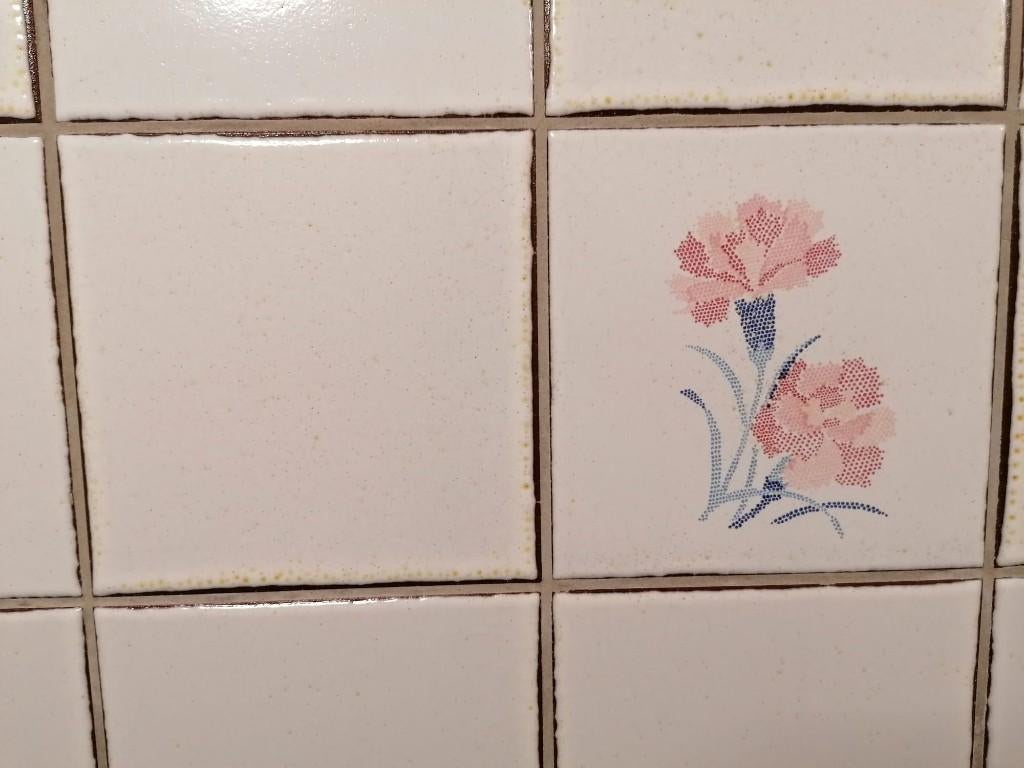 Carrelage de salle de bain 15 x 15 cm - 30 m² au total, Neuf, Moins de 20 cm, Céramique, Enlèvement