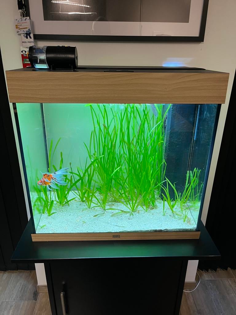 Juwel lido 120 led / meubel lido 200 apart verkrijgbaar, Dieren en Toebehoren, Ophalen of Verzenden, Zo goed als nieuw