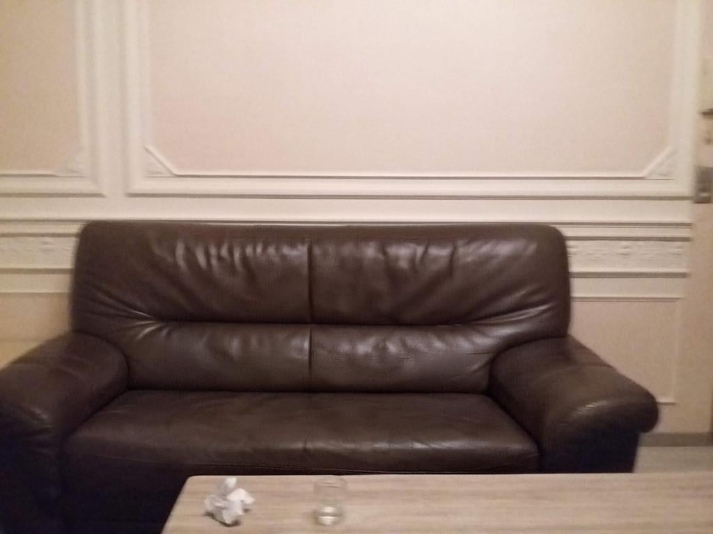 BRUINE LEDEREN fauteuils/banken, Leer