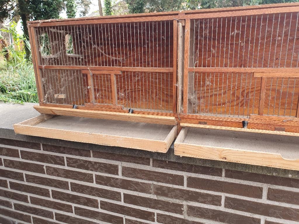 Oude voliere, Enlèvement, Utilisé, Bois, Volière