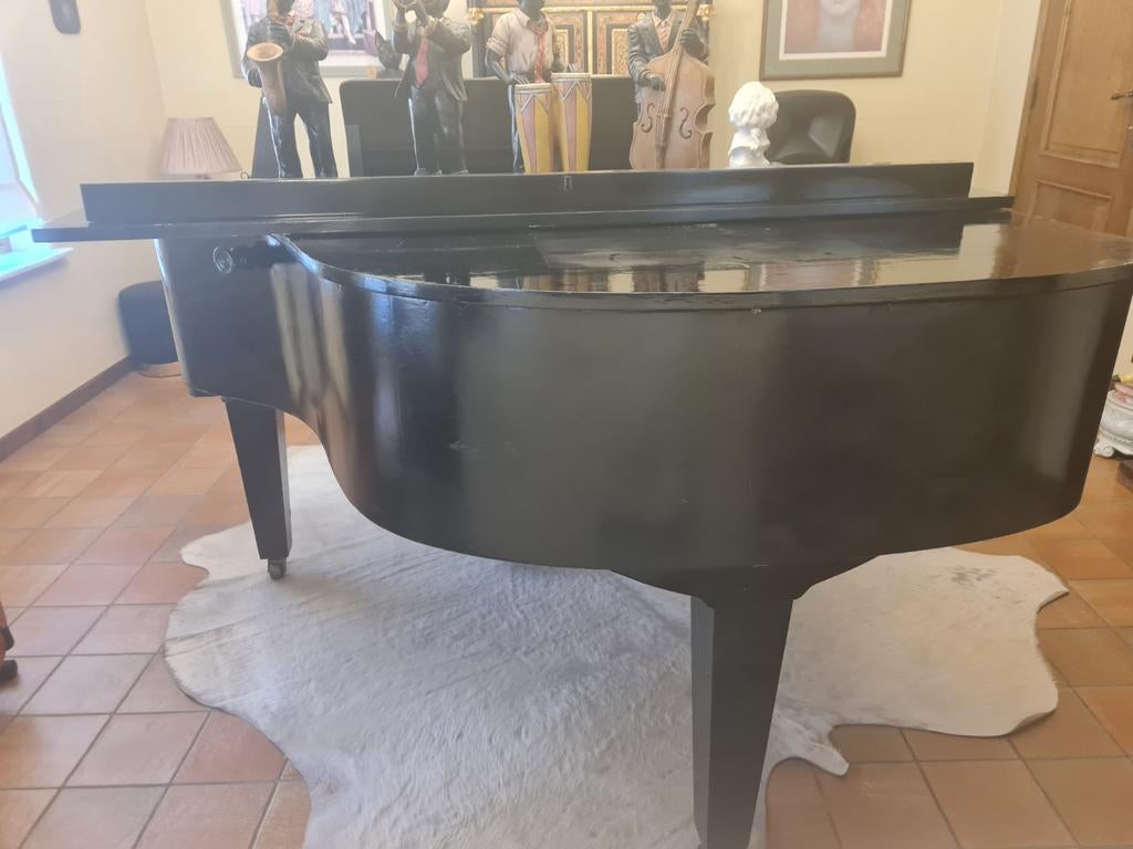 Steinbach zwart lak vleugelpiano, Enlèvement, Noir