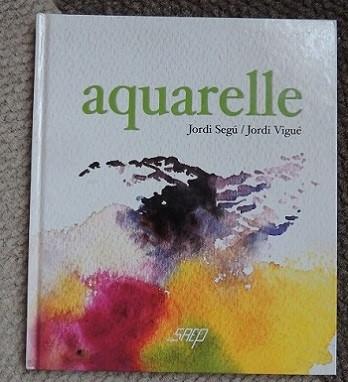 livre Tout sur l'aquarelle         cneuf 8€, Livres, Enlèvement ou Envoi, Comme neuf, Peinture et dessin, Segu et Vigué