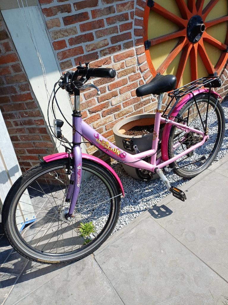 kinderfiets, Fietsen en Brommers, Ophalen, Handrem, Golden Lion, Gebruikt