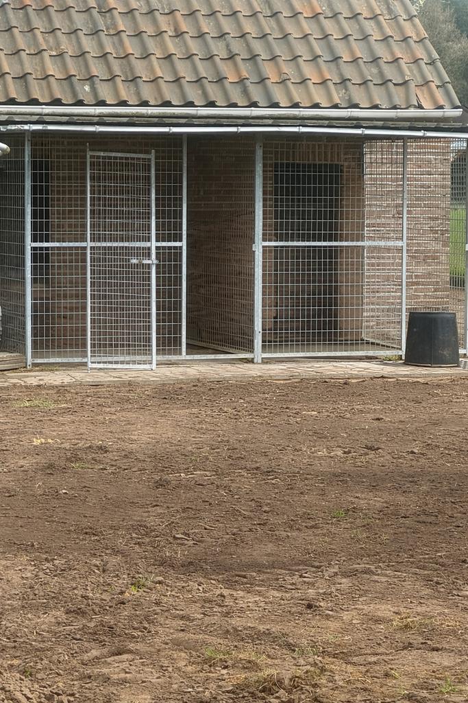 Hondenhok/hondenren, Dieren en Toebehoren, Ophalen, Hondenhok