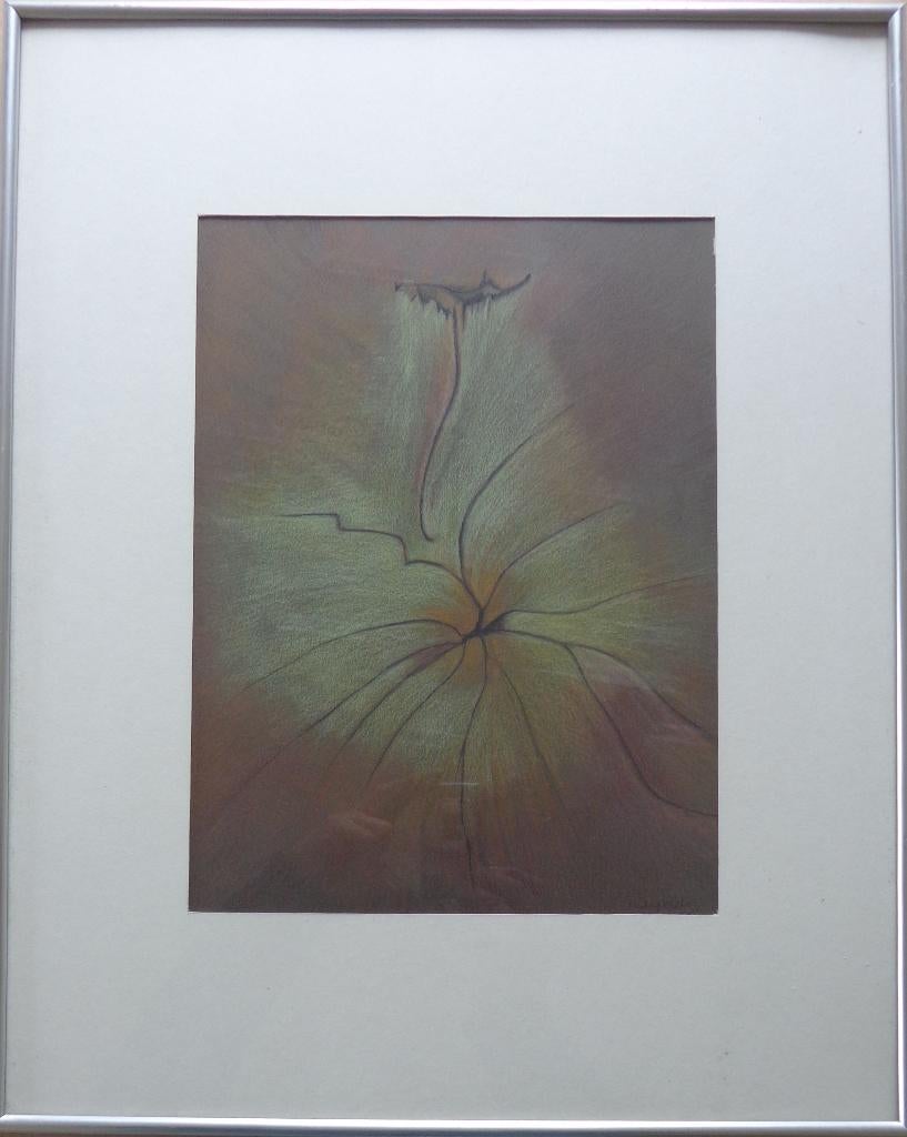 ROBERT WUYTACK / NATUUR / ORIGINEEL WERK / 51x41cm / KADER, Enlèvement ou Envoi