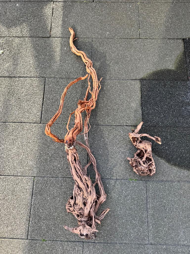 Spider Wood aquarium, Dieren en Toebehoren, Ophalen, Zo goed als nieuw, Plant(en), Steen of Hout