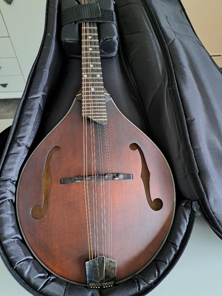 Mandoline Eastman MD305, Muziek en Instrumenten, Ophalen, Zo goed als nieuw