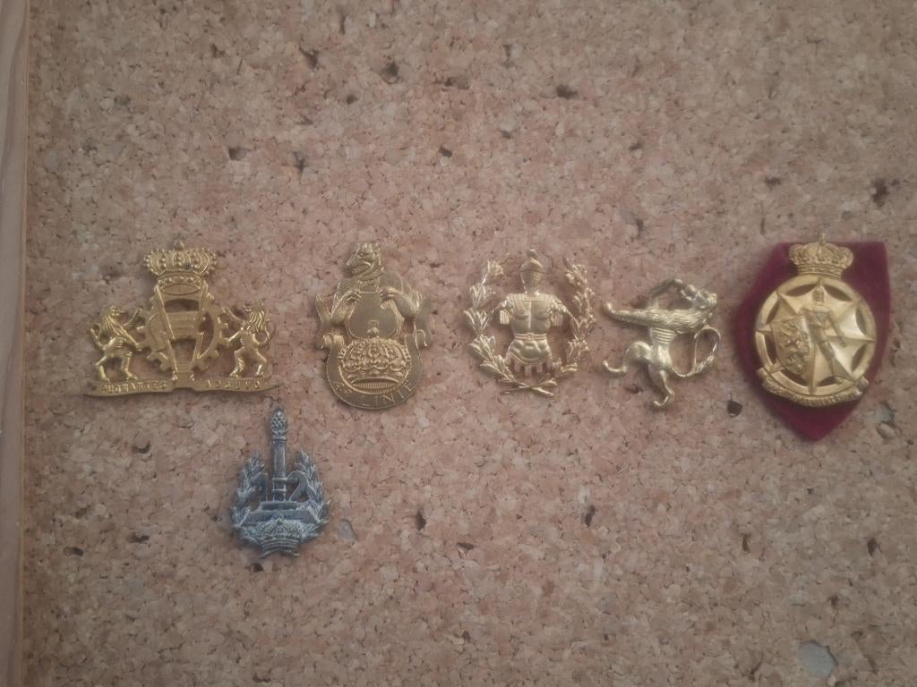 Belgische insignes, Ophalen of Verzenden