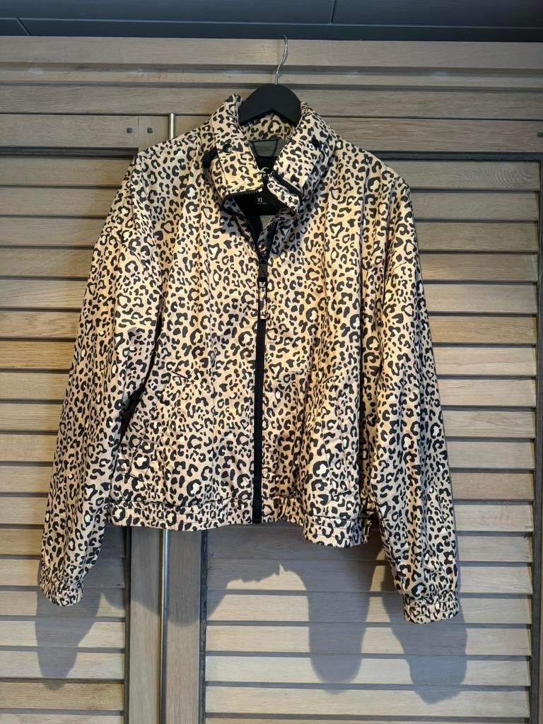 Zomerjasje Hollister xl gevoerd, Kleding | Dames, Ophalen of Verzenden