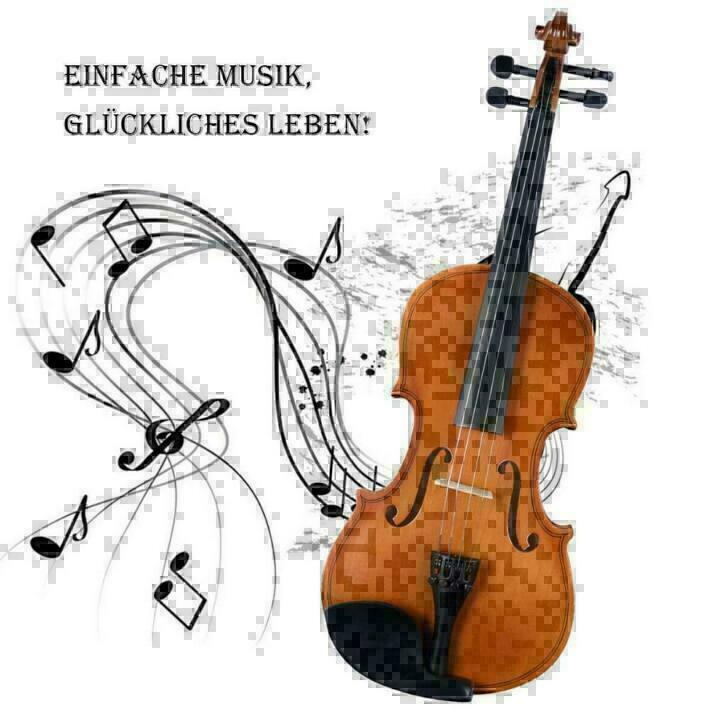 Viool 4/4 incl. vioolkist strijkstok NIEUW, Ophalen, Nieuw