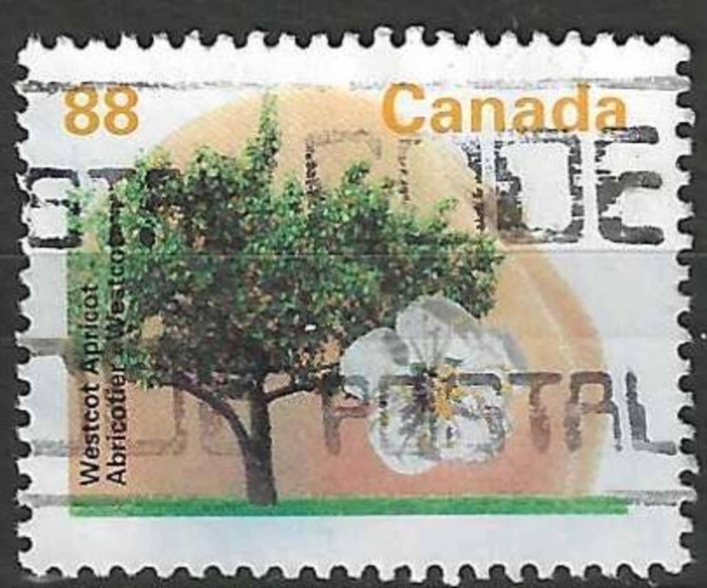 Canada 1994 - Yvert 1358 - Canadese fruitbomen (ST), Ophalen of Verzenden, Gestempeld