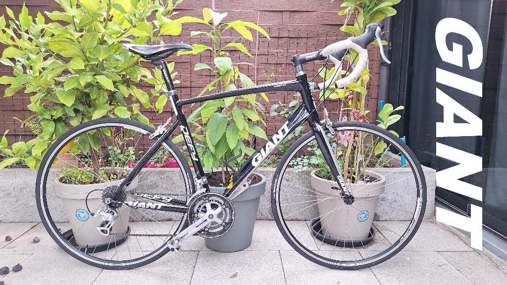 RACEFIETS GIANT Defy FIETS TOPSTAAT KOERSFIETS MEDIUM LARGE, Fietsen en Brommers, 28 inch, Gebruikt, Heren, Aluminium