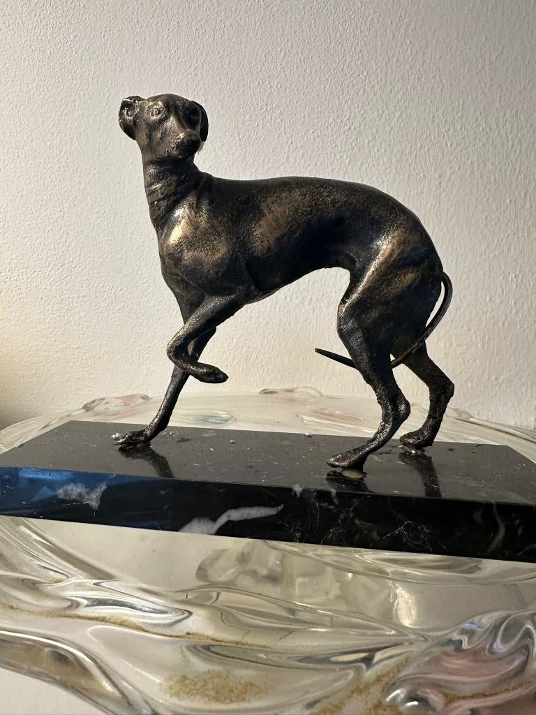 statig honden beeldje windhond italiaans windhondje whippet, Ophalen of Verzenden