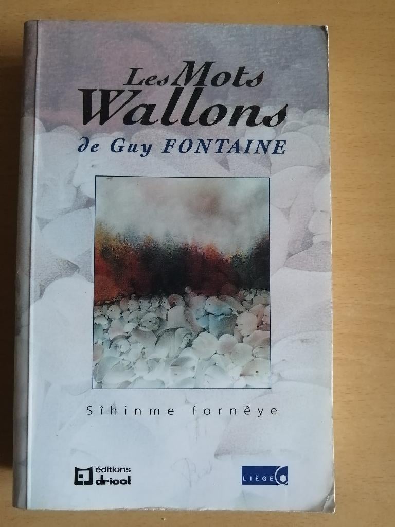 Les Mots Wallons de Guy Fontaine, Livres, Histoire nationale, Enlèvement ou Envoi