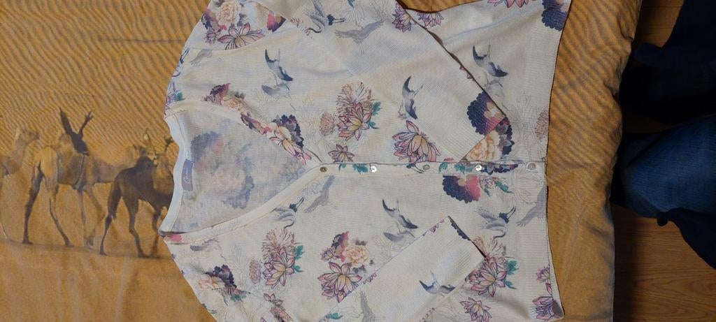 Cardigan Cassis taille L nouveau, Enlèvement ou Envoi, Neuf, Taille 42/44 (L)