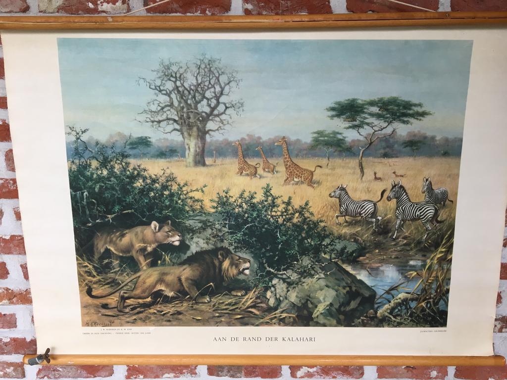 2 oude schoolplaten koopje!!!, Antiek en Kunst, Ophalen, Natuur en Biologie